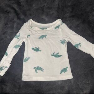 Carter's White and Green Turtle Long Sleeve Two Piece